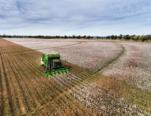 Unified Go-Yellow with McGregor Diesel & Morella Agriculture